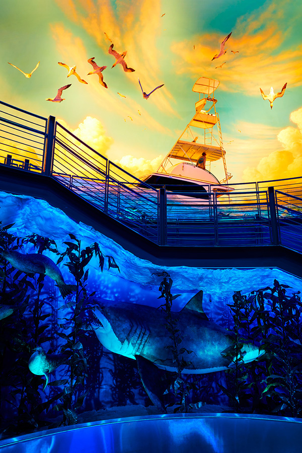 The fishing boat on exhibit in the Great Barrier Reef