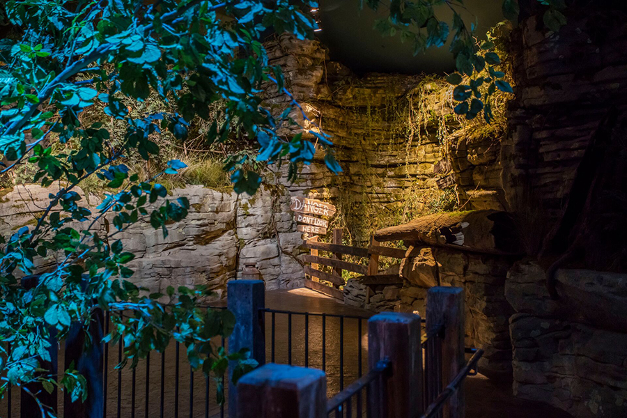 The RIver & Streams exhibit at Wonders of Wildlife. Showing the sink hole opening to the Cave below.