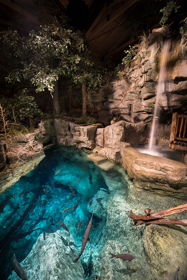 The waterfall flowing into the Community Pond exhibit at Wonders of Wildlife from above.