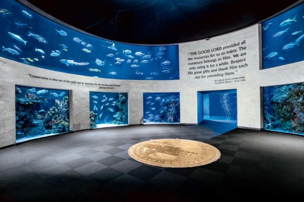Aquarium Adventure Great Oceans Hall