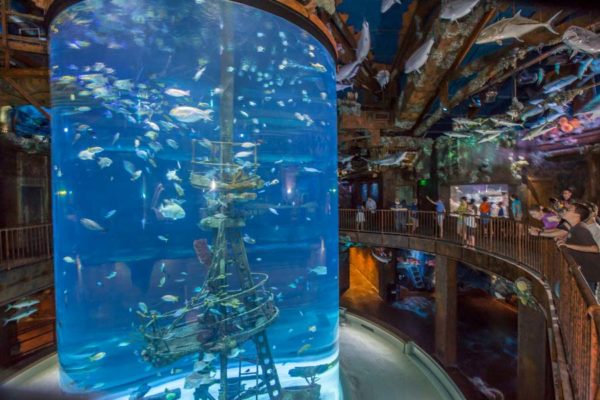 Aquarium Adventure Shipwreck