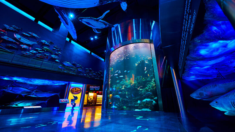 The Great Barrier Reef 3 story tank