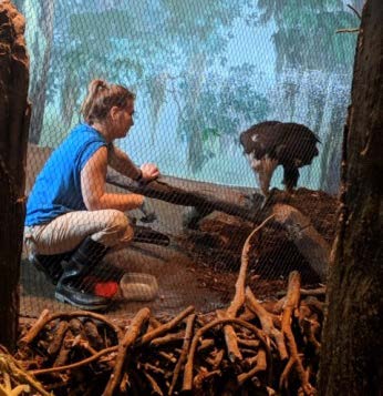 The_Life_of_a_WOW_Zookeeper3