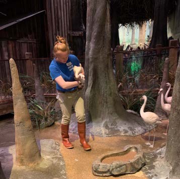 The_Life_of_a_WOW_Zookeeper