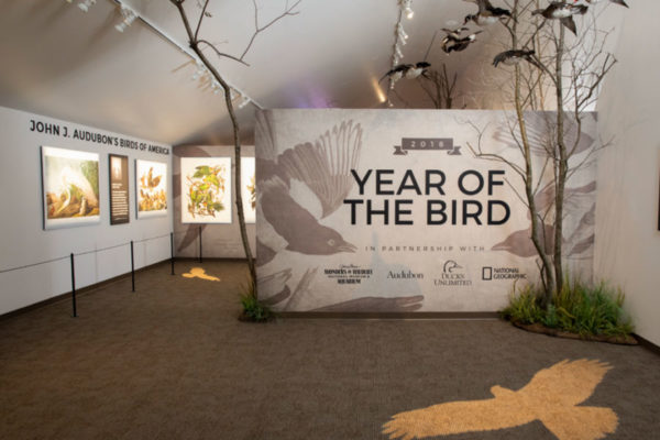 Year of the Bird - Special Exhibit