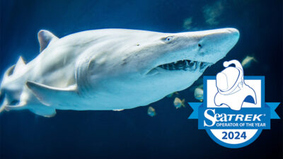 2025_WOW_SharkDive_HeaderUpdate_AWARD_900x600