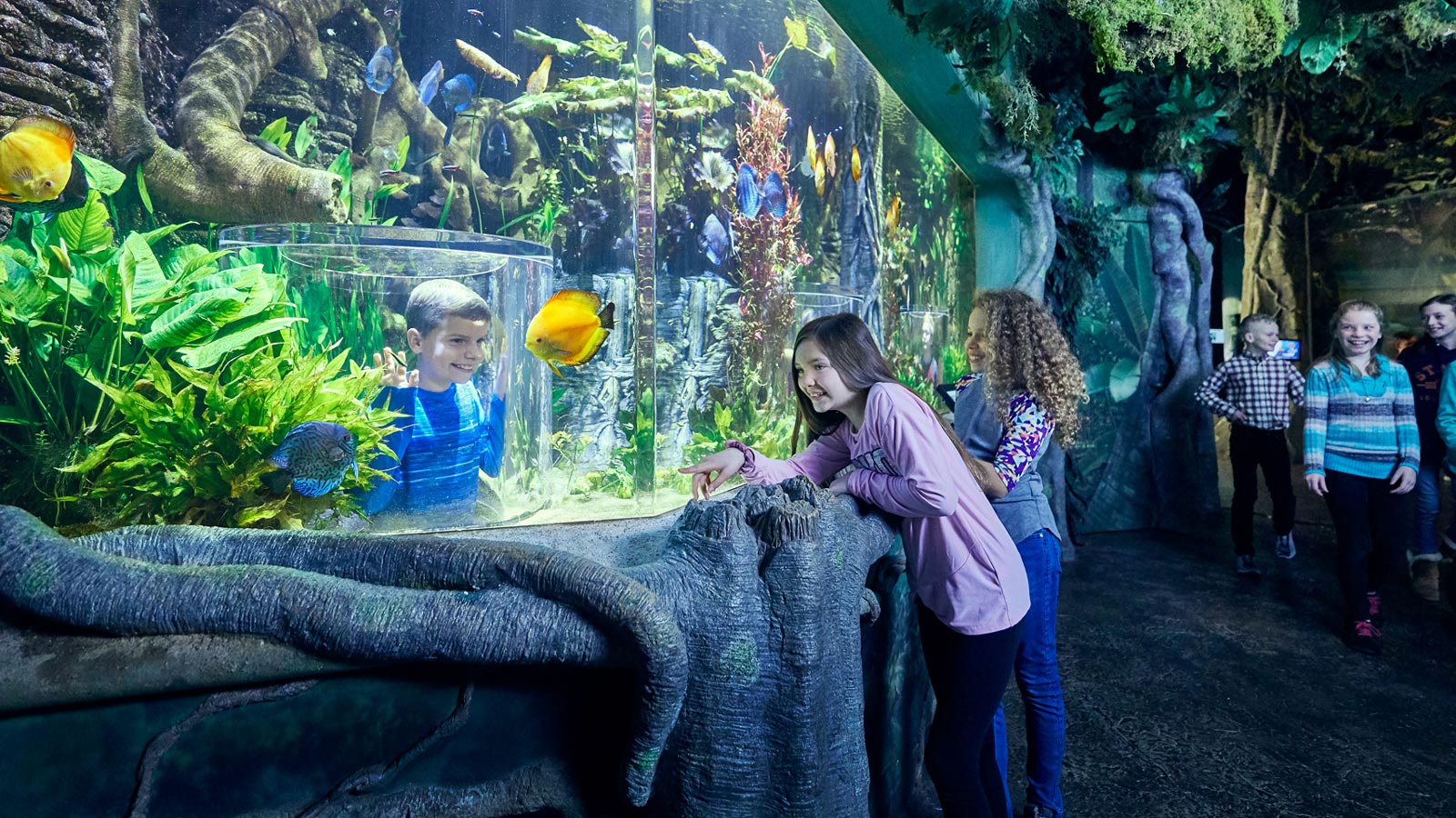 Aquarium Adventure Wonders of Wildlife National Museum & Aquarium