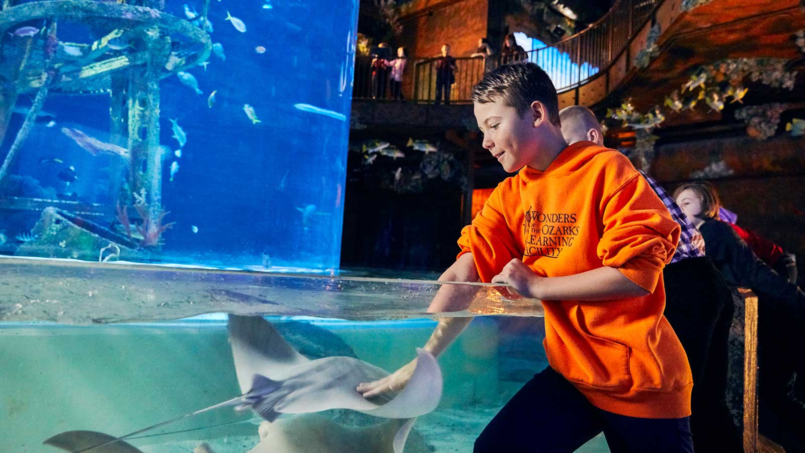 Aquarium Adventure - Touch Stingrays