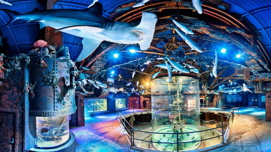 Aquarium Adventure - Shipwreck Reef