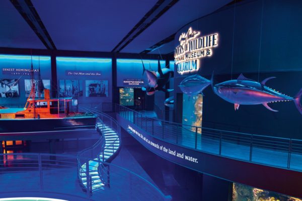 Aquarium Adventure - Entrance