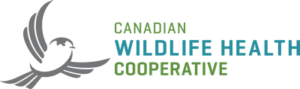 Canadian Wildlife Health