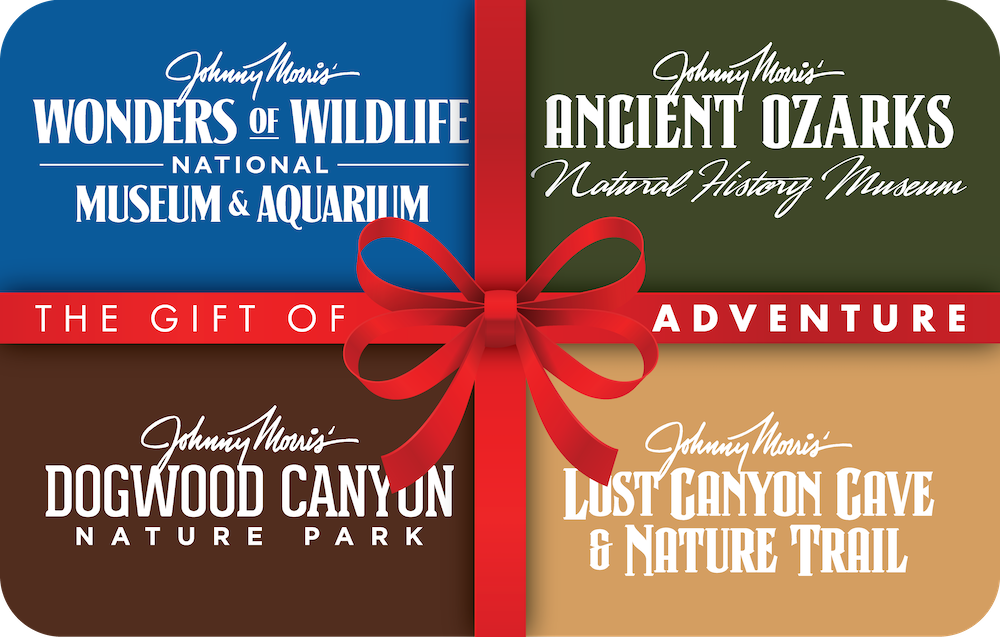 Four_Attraction_Holiday_Giftcard Four Attraction Holiday Giftcard