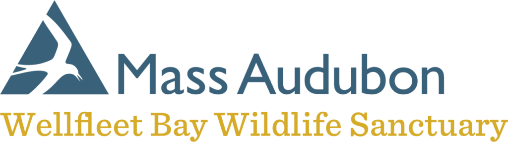 Mass Audubon Wellfleet Bay Wildlife Sanctuary logo