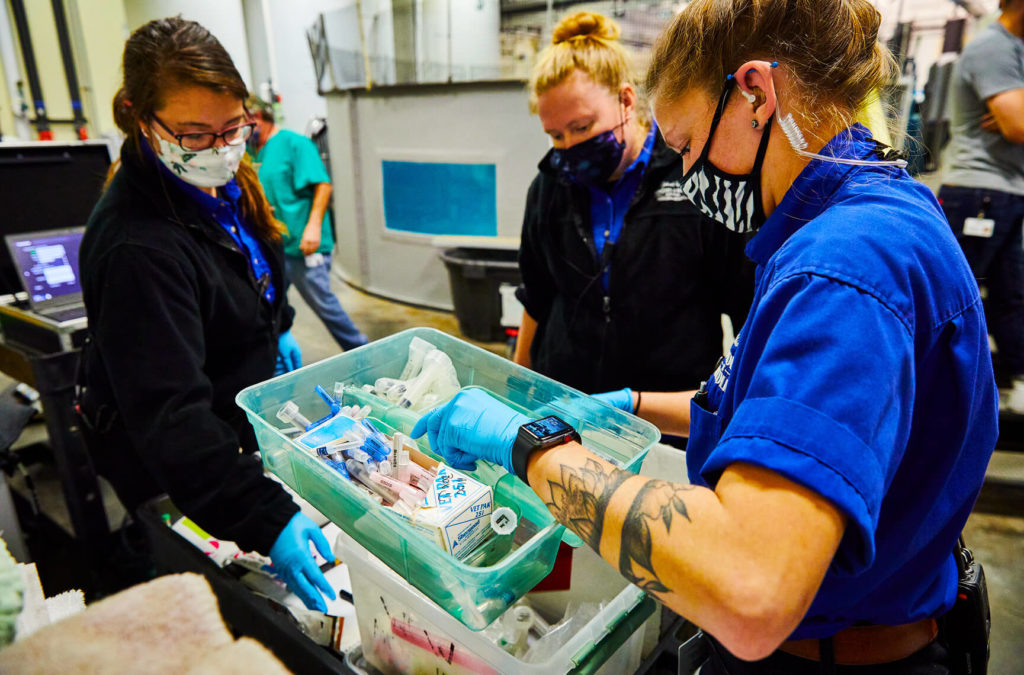 Three staff wearing masks carefully inspect their equipment and material before a health exam.