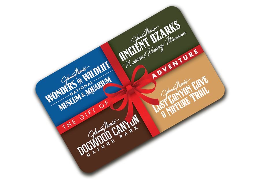 Four_Attraction_Holiday_Giftcard-rotate