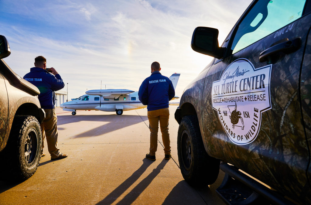Two staff members stand with their backs to the camera as they stand on the tarmac of Springfield Airport, waiting on a small plane to arrive with a group of cold stunned sea turtles.