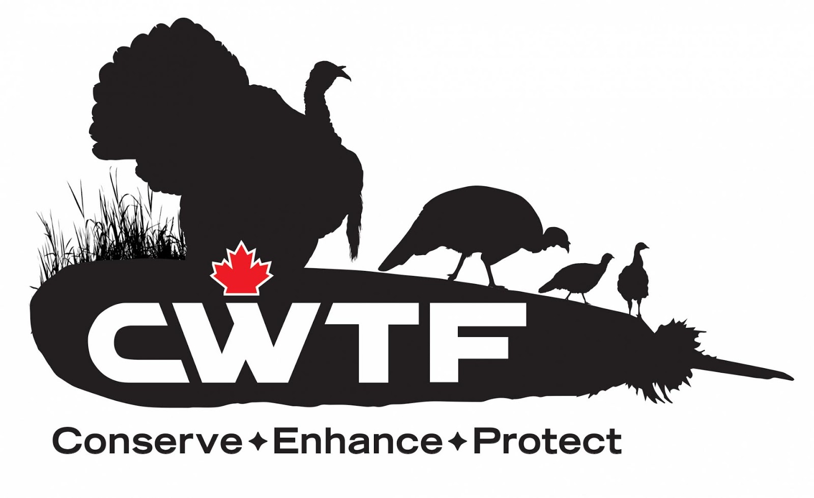 CWTF Logo