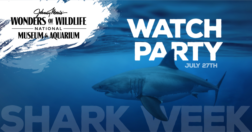 Shark Week Watch Party 2022-05