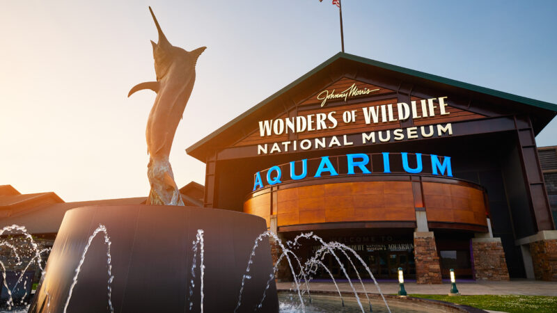 Bass Fishing Hall of Fame celebrates grand opening, inducts 2017 class at  Johnny Morris' Wonders of Wildlife National Museum and Aquarium - The Bass  Fishing Hall Of Fame