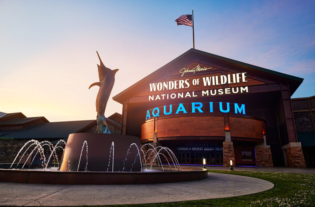 About Wonders of Wildlife National Museum & Aquarium