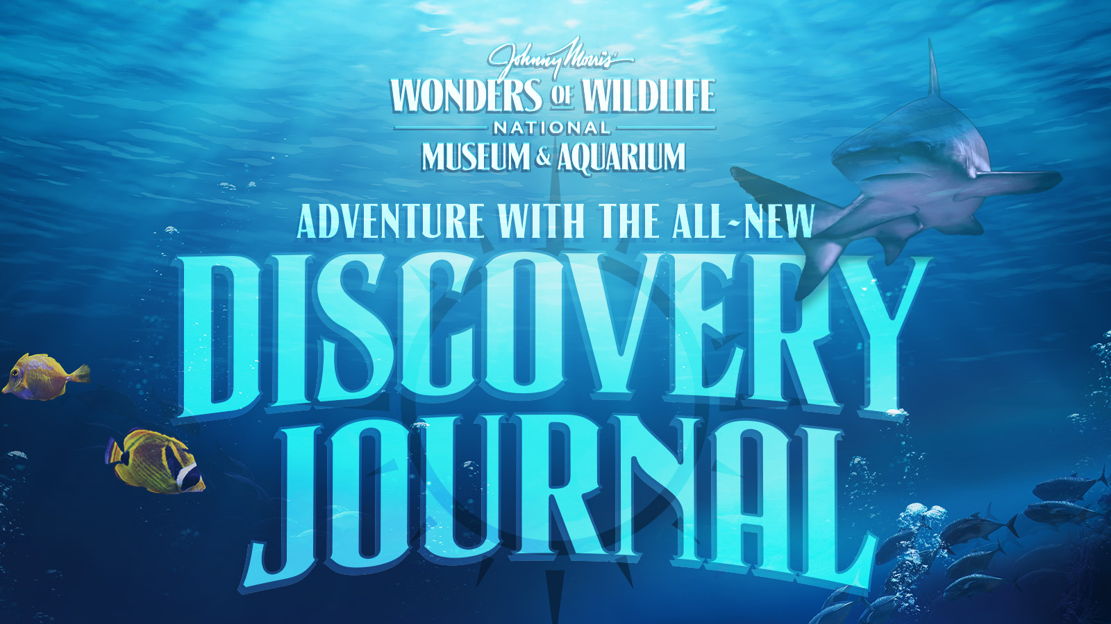 discovery journal header image