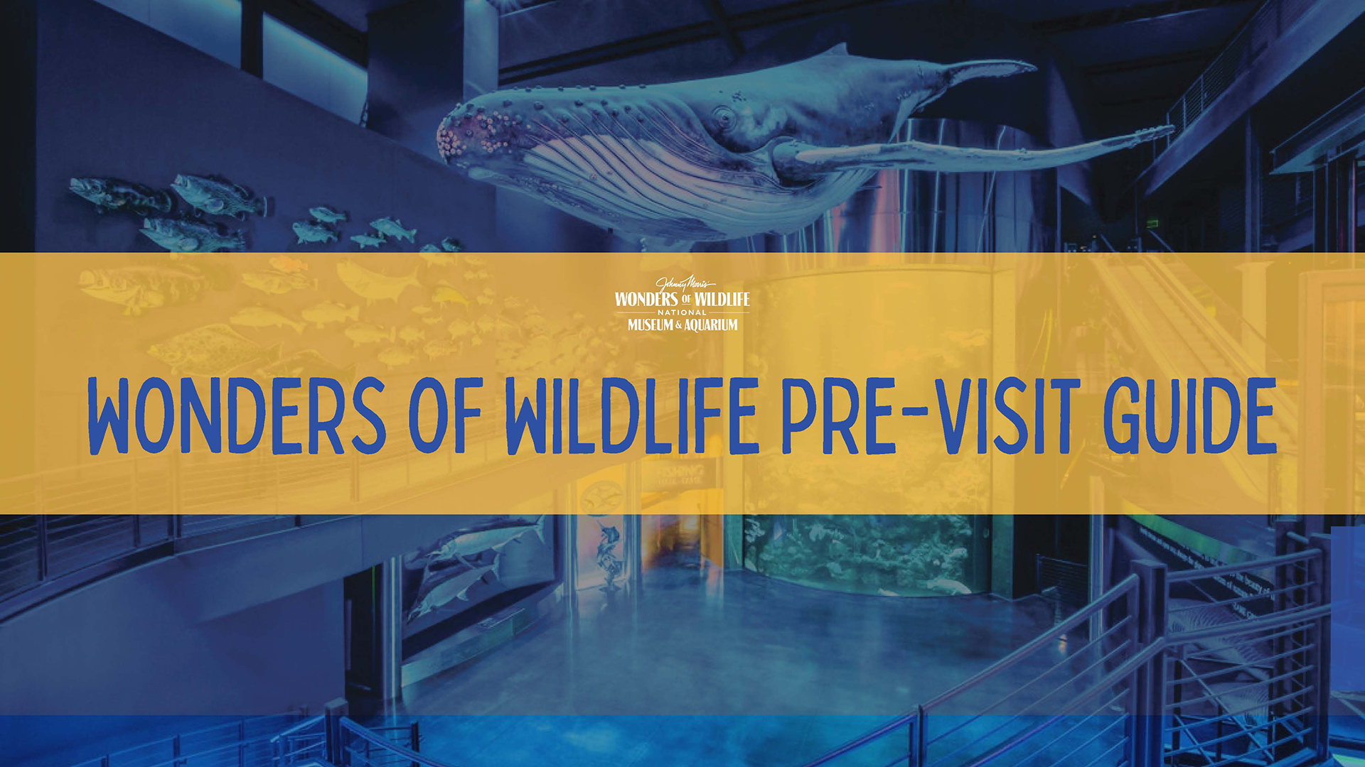 Wonders of Wildlife Pre-visit Guide_Header