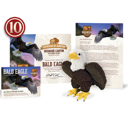 Support an animal by purchasing this impactful package – complete with your very own certificate and adorable plush version of your animal.