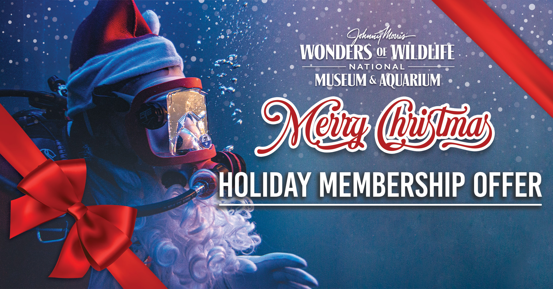 WOW_Holiday Membership Offer_Header