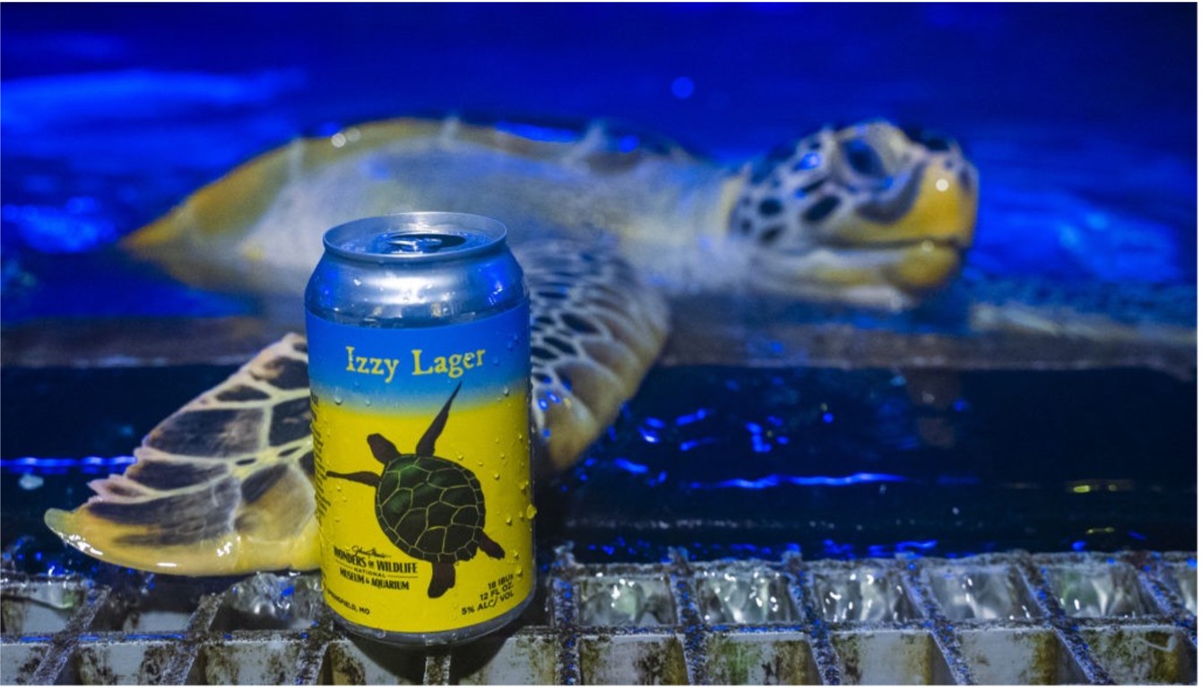 Wonders of Wildlife’s Sea Turtle Center again hosts endangered sea ...