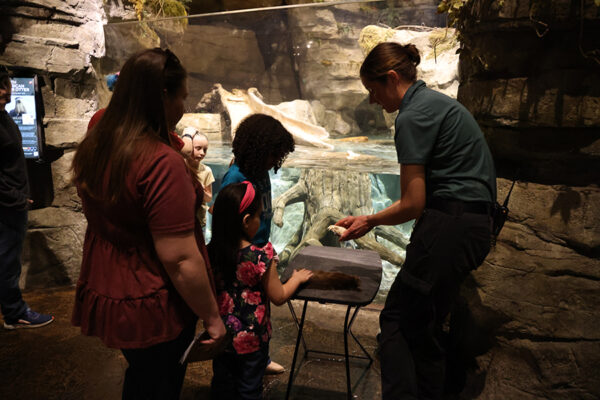 Guests taking part in a Member Night activity