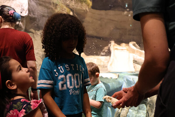 Guests taking part in a Member Night activity