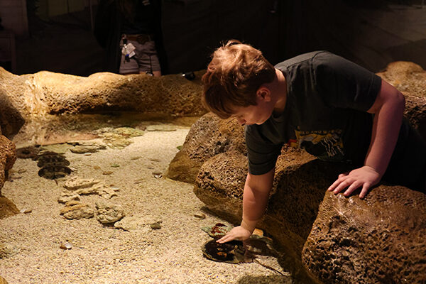 A guest experiences the Invert Touch exhibit.