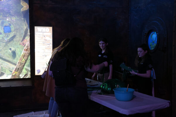 Guests take part in an activity.