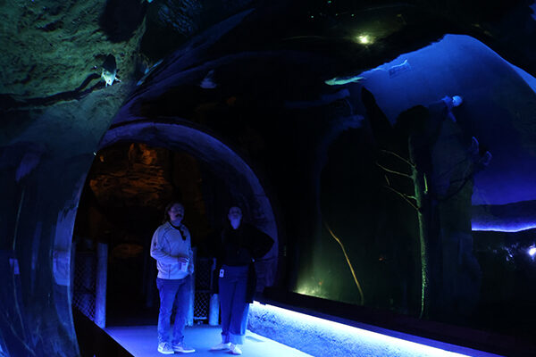 Guests admire the fish all around them while walking through an underwater tunnel.