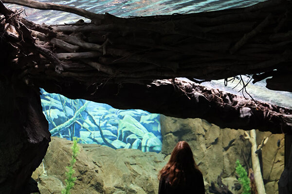 A guest takes in the exhibit around and above her.
