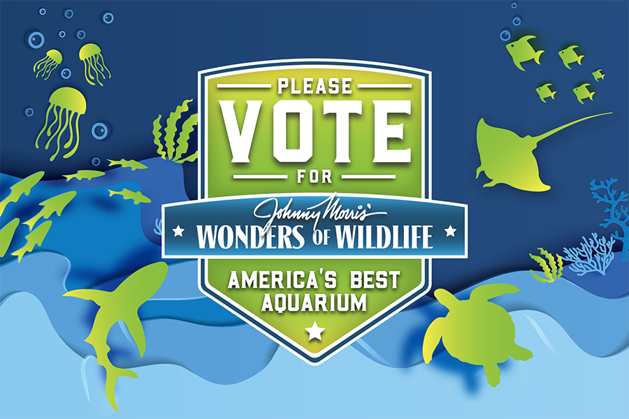 2024_WOW_ABA_VOTE_Home PageBanner_900x600