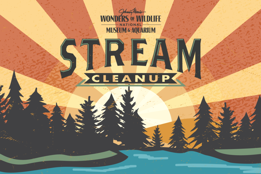 2024_WOW_StreamCleanUp_Header_900x600