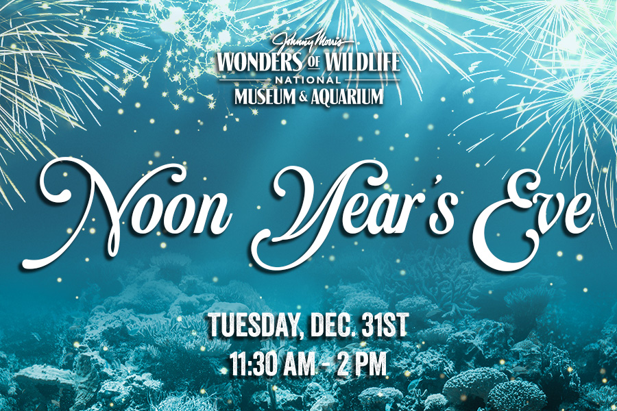 WOW Noon Year's Eve Event header with script font and underwater background with fireworks.