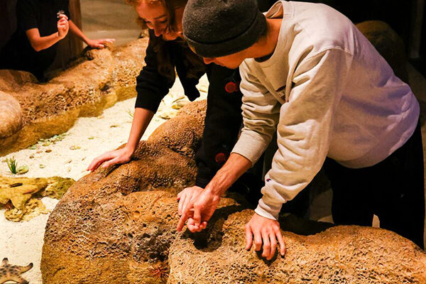 Several guests look at the invertabrates in the Invert Touch tank at Wonders of Wildlife.
