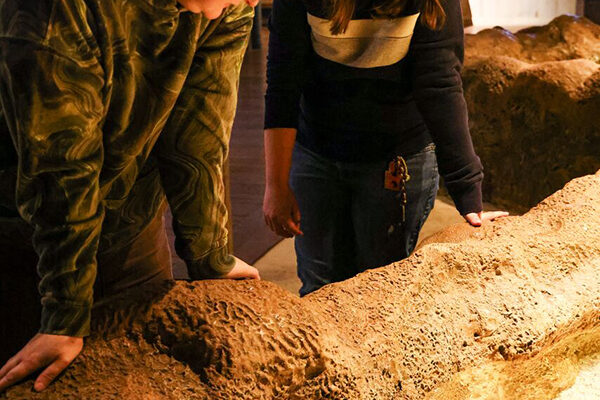 Several guests look at the invertabrates in the Invert Touch tank at Wonders of Wildlife.