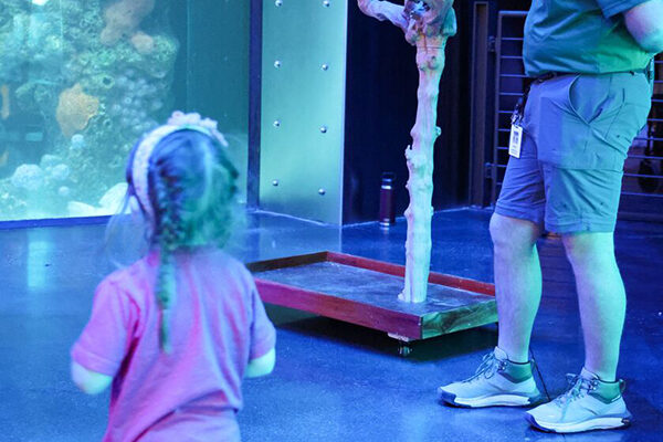 A young girl looks up at a perched multi-colored parrot next to a Wonders of Wildlife staff member.