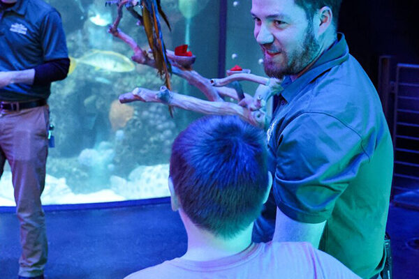 A Wonders of Wildlife staff member shares information about a nearby parrot with a young guest at Wonders of Wildlife.