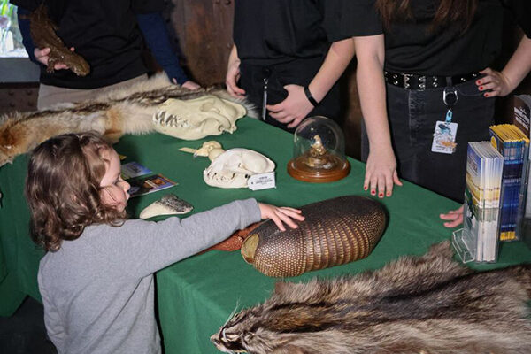 Several Wonders of Wildlife staff members show a child an armadillo shell along with other items on a table.