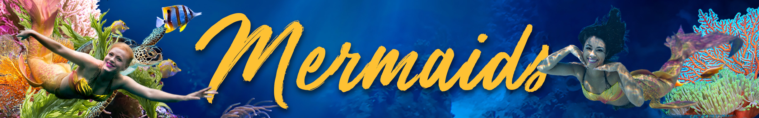 Wonders of Wildlife Mermaid web banner showing two mermaids swimming in a reef.