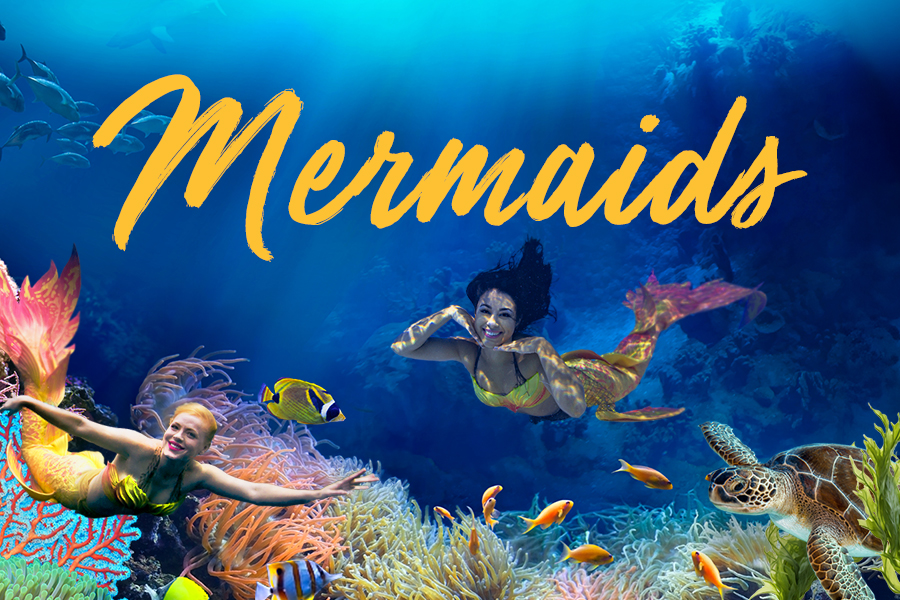 Wonders of Wildlife Mermaid event header featuring several mermaids swimming around a reef.