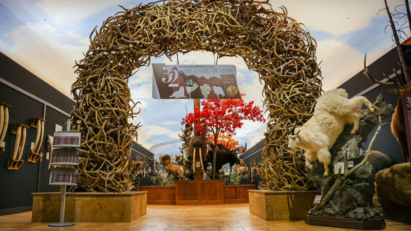 Large horn arch with a banner reading "32nd Big Game Awards"