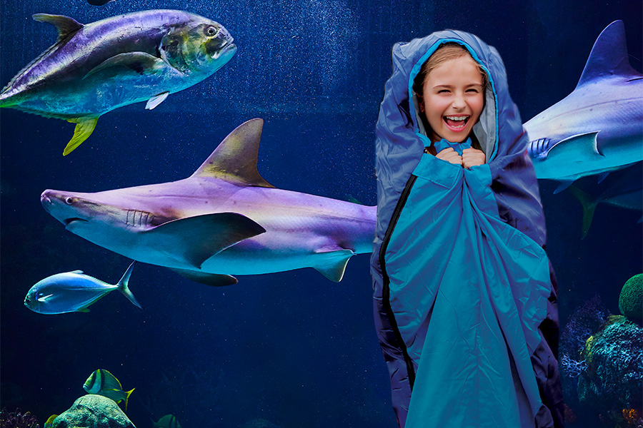 2024_WOW_PublicOvernight_HeaderImage_NEW_900x600 A young girl wrapped in a blanket and sleeping bag laughing while standing in front of an aquarium with sharks and fish.