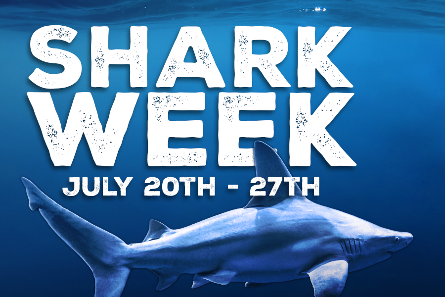 Shark Week July 20th through 27th