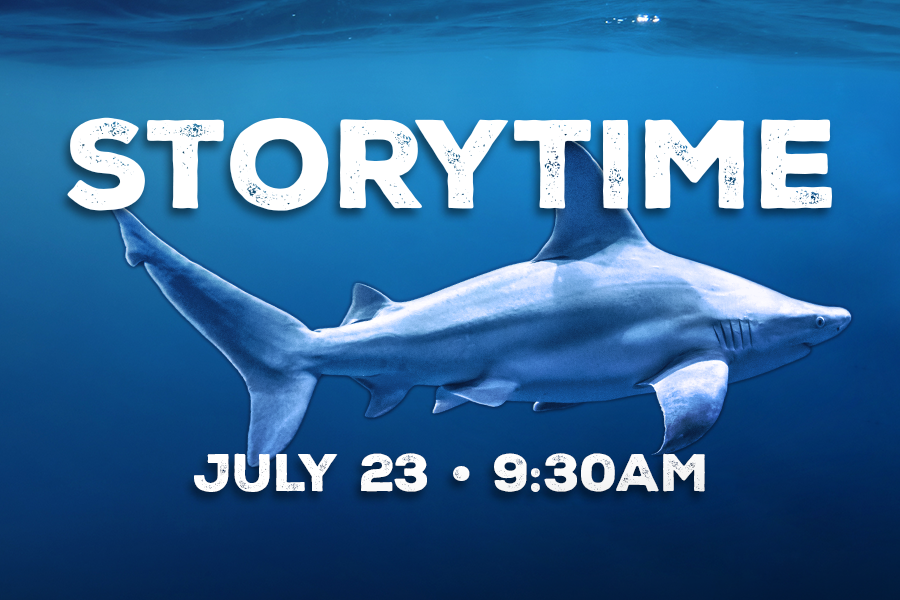 Storytime July 23 9:30AM