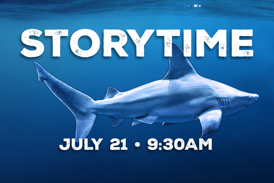 Storytime July 21 9:30AM